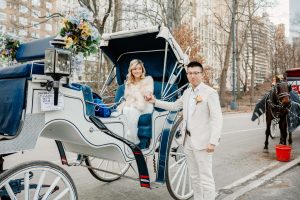 Carriage Ride in Central Park for 1 hour