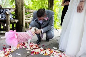 bring your dog to the wedding